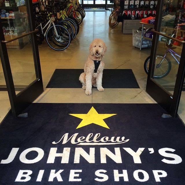 mellow johnnys bike shop Fort Worth