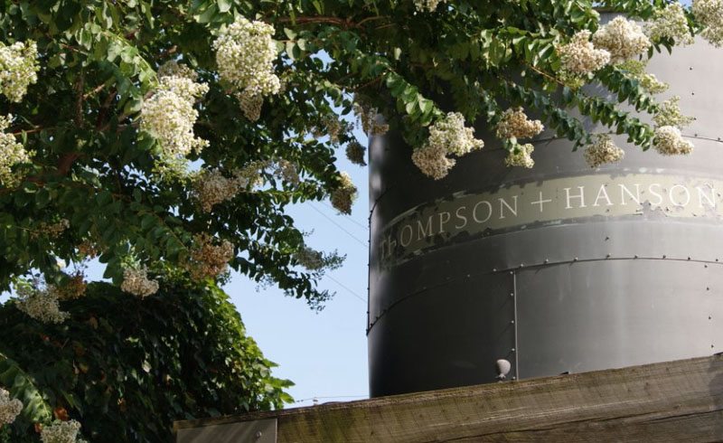 Houston – Thompson Hanson