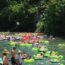Float the Comal New Braunfels