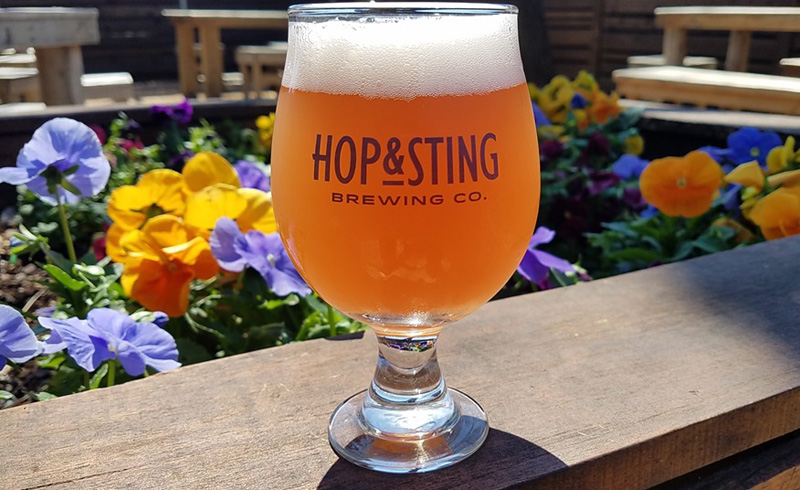 Hop & Sting Brewery - Best In Texas