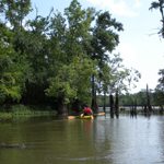 Beaumont Paddle the Preserve