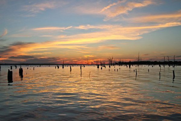 Lake Fork Reservoir - Top Texas Bass Fishing Spots