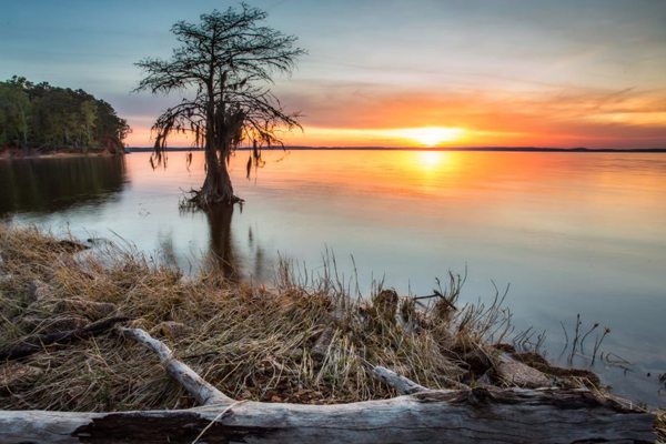 Toledo Bend Reservoir - Top Texas Bass Fishing Spots