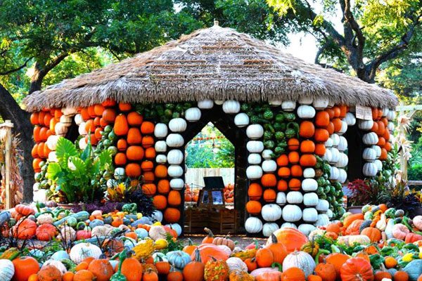 Autumn at Dallas Arboretum - Dallas