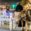 Dallas – Highland Park Carriage Rides