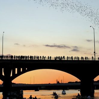 Austin - South Congress Bridge Bats