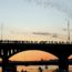 Austin - South Congress Bridge Bats