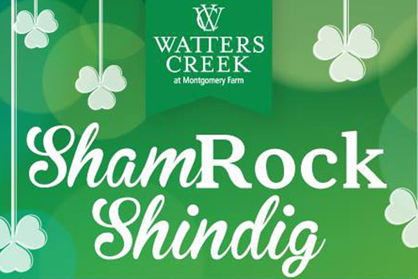 Shamrock Shindig for St. Patrick’s Day - Allen