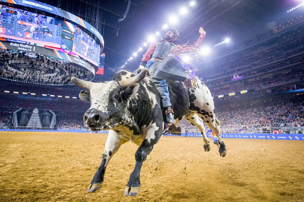 Houston –  Livestock Show and Rodeo