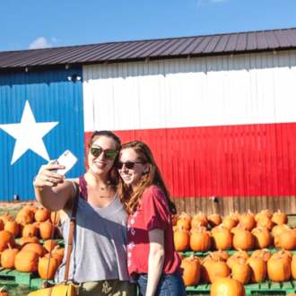 Best Pumpkin Patches in Texas, Cover, Yesterland Farms
