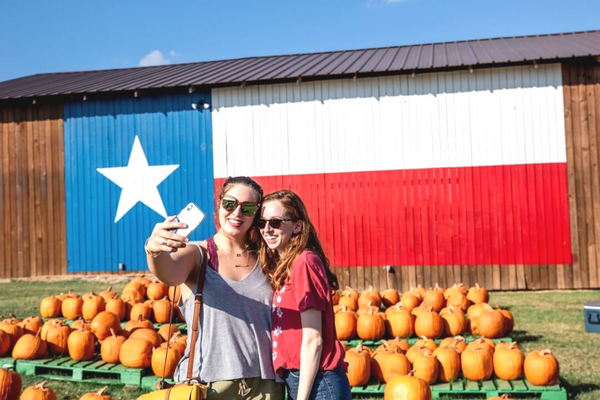 Best Pumpkin Patches in Texas, Cover, Yesterland Farms